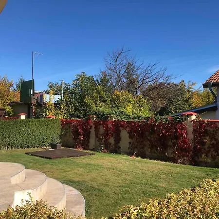 Complex Pika Guest house 3*