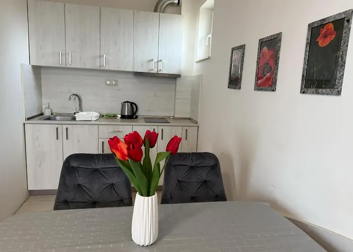 Guest house Complex Pika