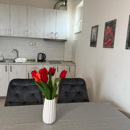 Casa de hóspedes Complex Pika